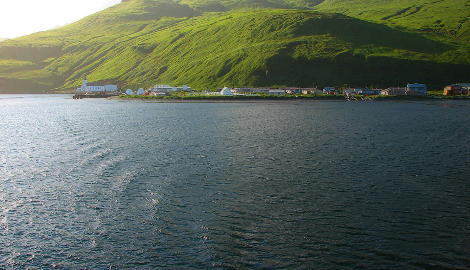 Rooted in Tradition Driven by Innovation